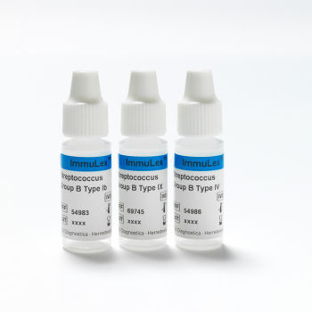 Reactivo anticuerpo policlonal - ImmuLex™ - SSI Diagnostica - de suero / antisuero / para la investigación