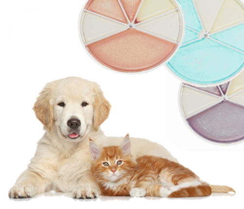 Kit de prueba de infección de las vías urinarias - Flexicult® Vet Scandinavia  - SSI Diagnostica - veterinario / para bacterias / de orina