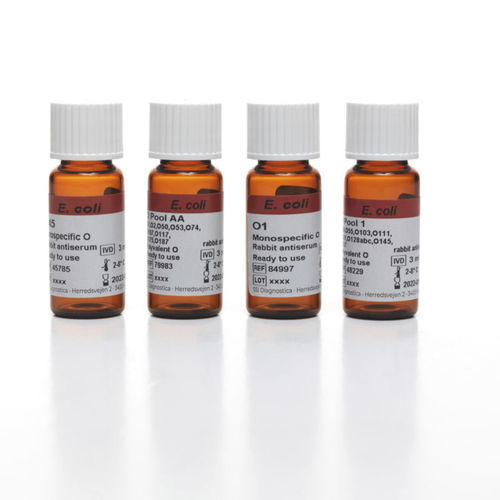 Reactivo antisuero - 84997 - SSI Diagnostica - anticuerpo policlonal / antígeno / para el cultivo bacteriano