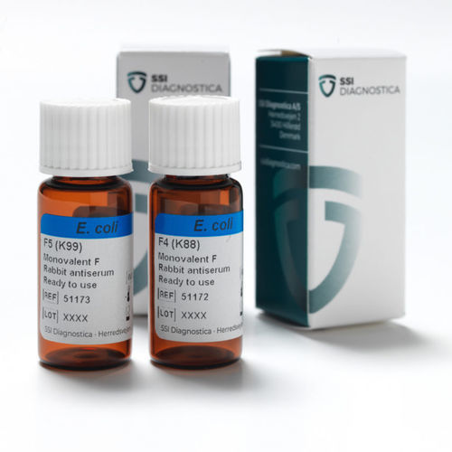 Reactivo anticuerpos - 51172 - SSI Diagnostica - antisuero / suero de conejo / antígeno