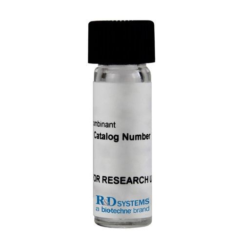 Reactivo para la investigación - 11349-IL series - R&D Systems - en solución / albúmina de suero bovino / citoquina