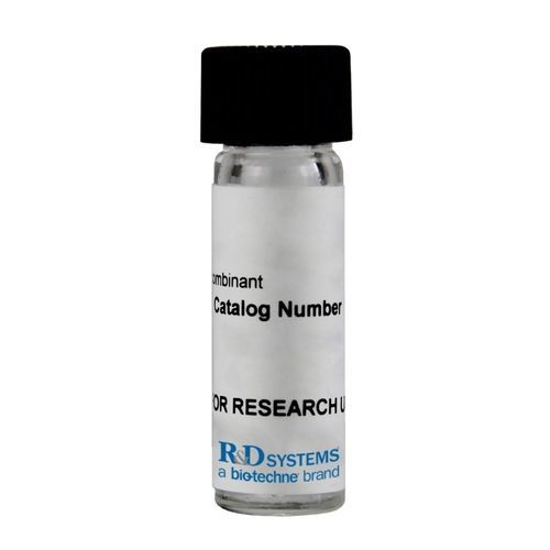 Reactivo enzima - E-305 - R&D Systems - albúmina de suero bovino / para la investigación / de tejidos