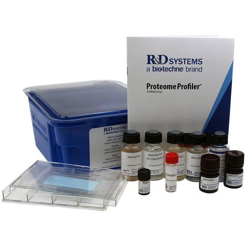 Kit de reactivos proteasa - ARY021B - R&D Systems - anticuerpos / de tejidos / de proteínas