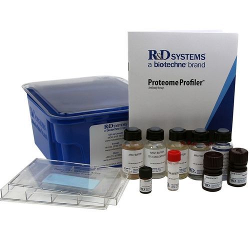 Kit de reactivos proteasa - ARY025 - R&D Systems - anticuerpos / de tejidos / de proteínas