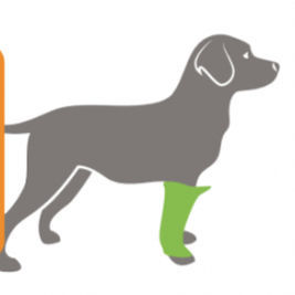 Protector articular veterinario codera - BUDDY® - QOL - Quality Of Life
