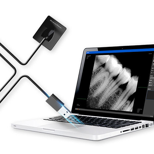 Panel detector plano intraoral para radiografía dental - XV 100 - BLZ Technology