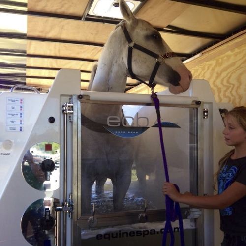 Spa animal para équidos - MOBILE - ECB Equine Spa
