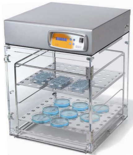 Incubadora de laboratorio de aire forzado - CLEAR - OVAN - de mesa / con 1 puerta / automática