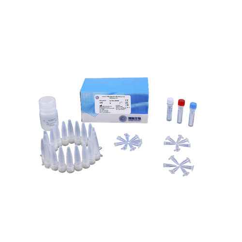 Kit de prueba de tuberculosis - 301031 - CapitalBio Technology - para enfermermedades infecciosas / para análisis de identificación / de microbacterias