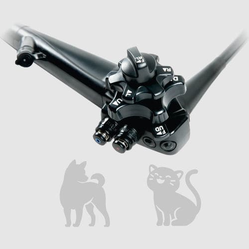 Gastroscopio veterinario vídeo - OVV-S2+ US - MITRA Industries - para animales de compañía / con canal operador