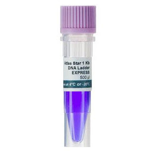 Escalera de ADN - Atlas Star 1 Kb - BioAtlas - para la investigación / de electroforesis / para biología molecular