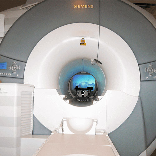 Oculómetro para resonancia magnética - EyeLink 1000 Plus - SR Research - de mesa / de vídeo