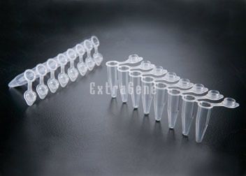 Tubo de muestras para PCR - P-02X8-CF - ExtraGene,Inc. - de fondo cónico / de polipropileno