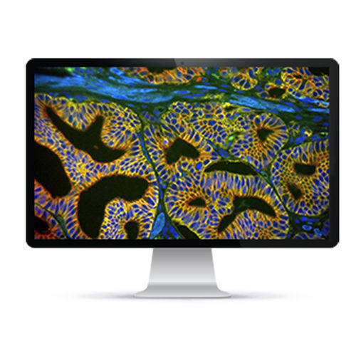 Sistema de imagen celular automático - Rainbow™ - Applied Spectral Imaging - de laboratorio / clínico / de fluorescencia