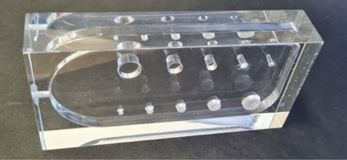 Fantoma de prueba para ecografía - WILLIAMS - Bright Technologies - Bri-Tec - de pulmón
