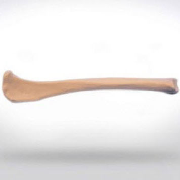 Modelo anatómico de tibia - 0812.00 - SYNBONE AG - de cirugía / veterinario / de formación