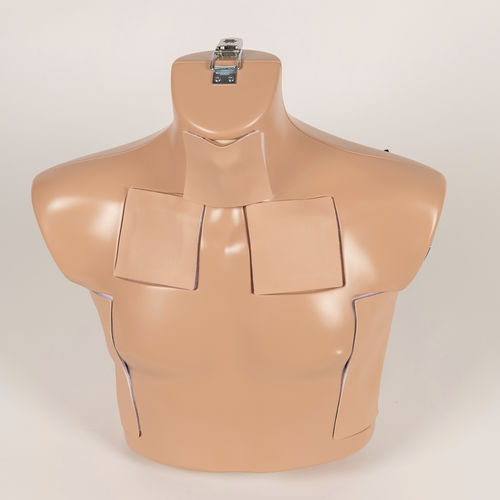 Simulador de formación - PR1221.5 series - SYNBONE AG - de cirugía / con trauma / de torso