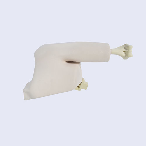 Modelo anatómico de hueso - LSH5760.1 - SYNBONE AG - de articulación / de húmero / de hombro
