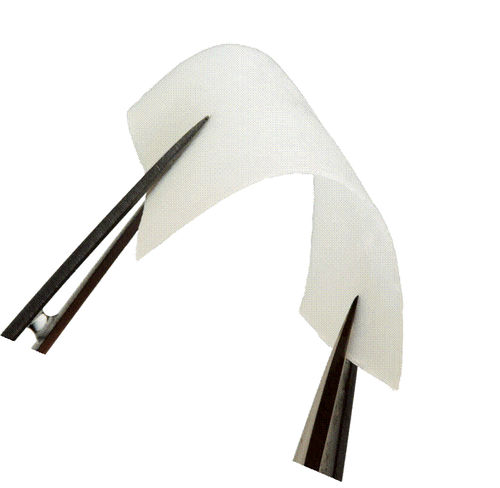 Matriz tisular cirugía dental - CollaGuide™ - Curasan - colágeno