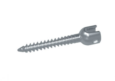 Tornillo pedicular monoaxial - HG series - HankilTech Medical - metálico