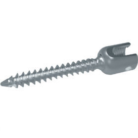 Tornillo pedicular poliaxial - HG-B5 series - HankilTech Medical - metálico