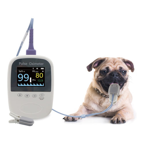 Pulsioxímetro para animales - BM1000A-I - Shanghai Berry Electronic Tech Co.,Ltd - portátil de mano / para experimentación con animales / veterinario
