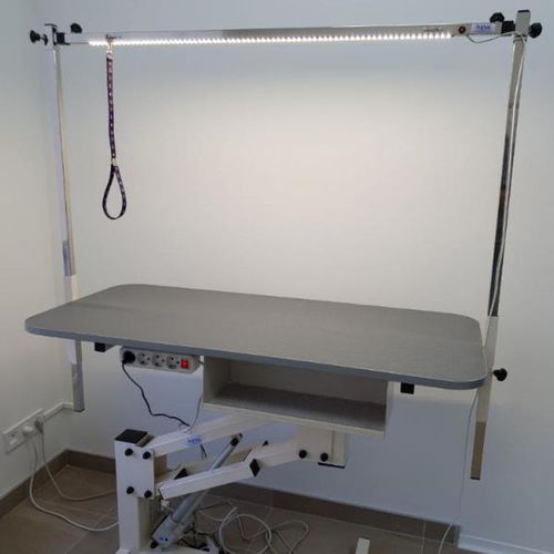 Mesa de aseo elevadora - JE-04e	 - EVG - EdenVetGroom - eléctrica
