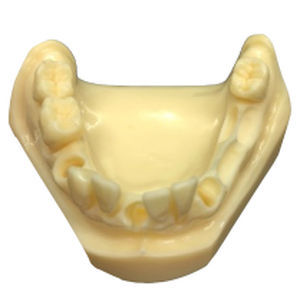 Modelo anatómico de mandíbula - DM – 115-2 - Selmodels SL - para cirugía dental / de implantología