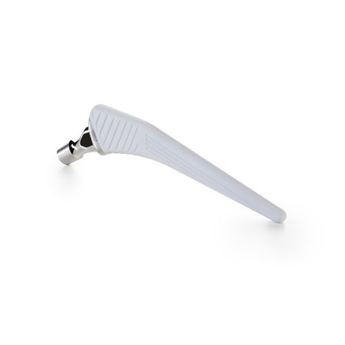 Vástago femoral no cementado - MODULAR KORUS  - Gruppo Bioimpianti