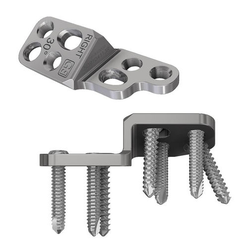 Placa para osteotomía veterinaria para caninos - DPO - Gruppo Bioimpianti - para rodilla