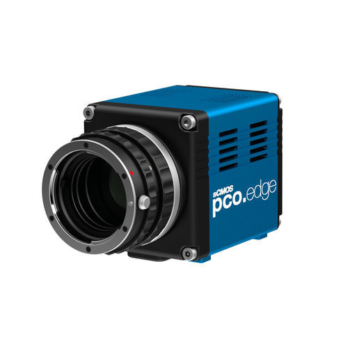 Módulo de cámara para microscopio - pco.edge 3.1 - PCO AG - digital / 2048 x 2048 / sCMOS