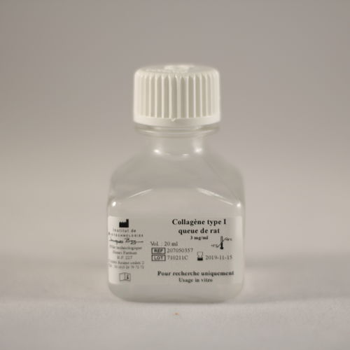 Reactivo colágeno - TYPE I QUEUE DE RAT - Institut de Biotechnologies Jacques Boy - para la investigación / para cultivos celulares / para adhesión celular