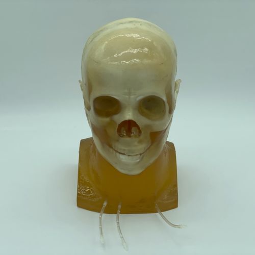 Fantoma de prueba para radiología - HD-A03 - True Phantom Solutions - para escáner de rayos X / para IRM / de cabeza