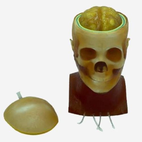 Fantoma de prueba para radiología - HD-C03 - True Phantom Solutions - para escáner de rayos X / para IRM / de cabeza