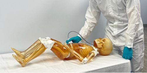 Fantoma de prueba para ecografía - FB-P02 - True Phantom Solutions - para radiología / para escáner de rayos X / de cuerpo entero