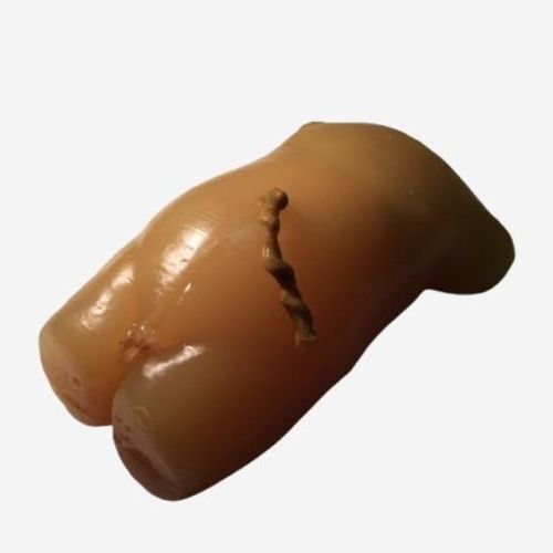 Fantoma de prueba para ecografía - US-S02 - True Phantom Solutions - para radiología / para escáner de rayos X / de torso