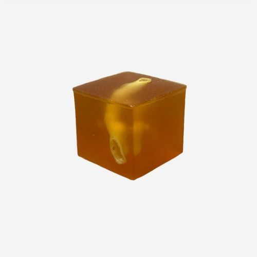 Fantoma de prueba para ecografía - US-G01 - True Phantom Solutions - de próstata