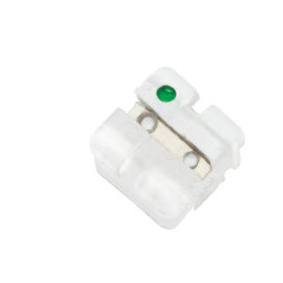 Bracket estético - EVA - GNI Co.,Ltd