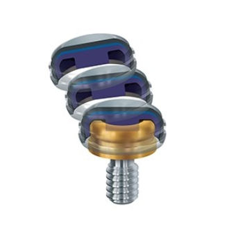 Pilar para implante de titanio - Zest Dental Solutions - interno / recto / de tornillo