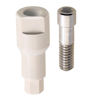 Pilar para implante de PEEK - WINSCAN® - BioSAF IN - recto