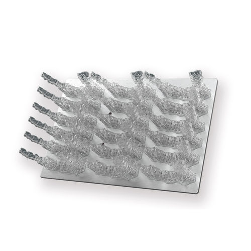 Material ortodóntico - ZSLM24TR001 - UNIZ - transparente / biocompatible