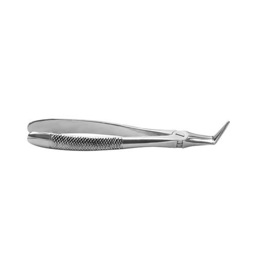 Fórceps de extracción para raíz dental - 46LX - Phoenix Instruments Limited