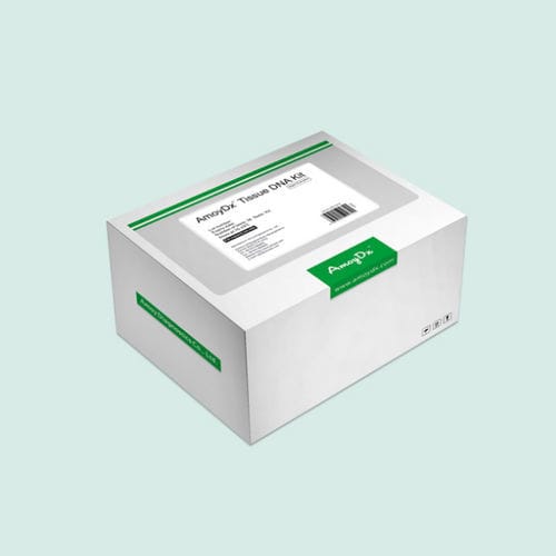 Kit de prueba de tejidos FFPE - LCMTI01 - LCM Genect srl - clínico / para ADN / para ARN