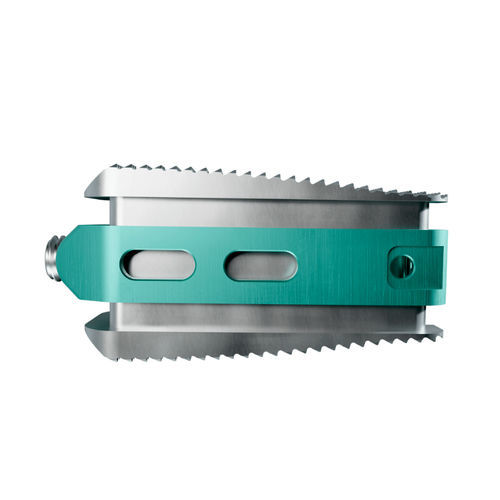 Caja intersomática lumbar - Maxxspine Innovative - vía posterior / extensible
