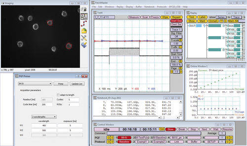 Software de adquisición - SmartLUX - HEKA - de captura / para la investigación