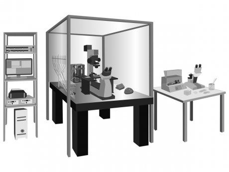 Sistema patch-clamp automática - Multi Channel Systems