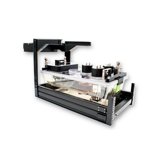 Jaula metabólica para la investigación preclínica - PhenoMaster - TSE Systems - para roedores / modular / para calorimetría indirecta
