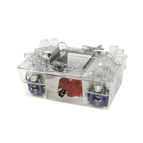 Jaula para la experimentación animal para ratones - IntelliCage - TSE Systems - modular