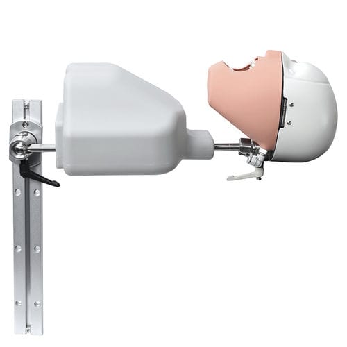 Maniquí de prácticas para odontología - JG-C9 - FOSHAN JINGLE MEDICAL EQUIPMENT CO., LTD - de formación / de cabeza / set de maniquíes