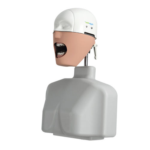Maniquí de prácticas para cuidados dentales - JG-C2 - FOSHAN JINGLE MEDICAL EQUIPMENT CO., LTD - para endodoncia / para periodoncia / de limpieza dental